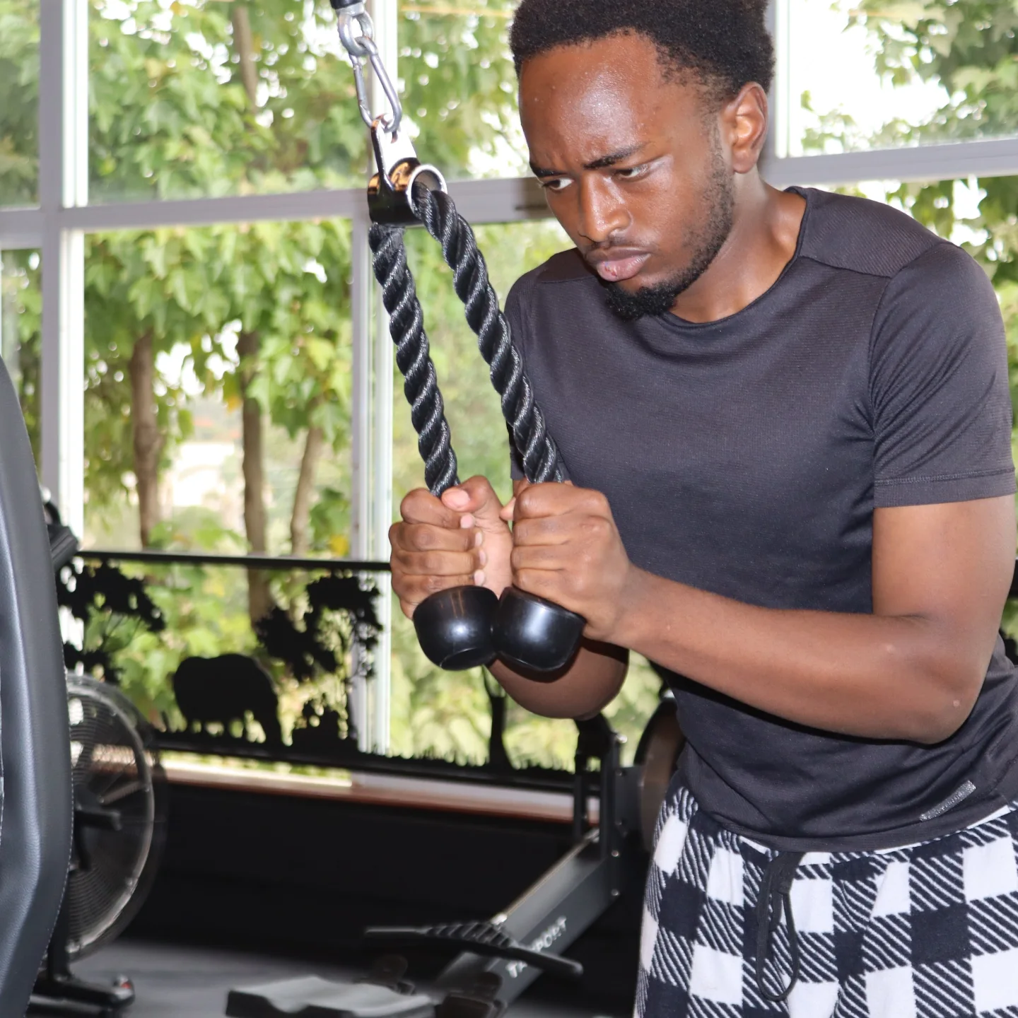 Semper Fit gymnasium